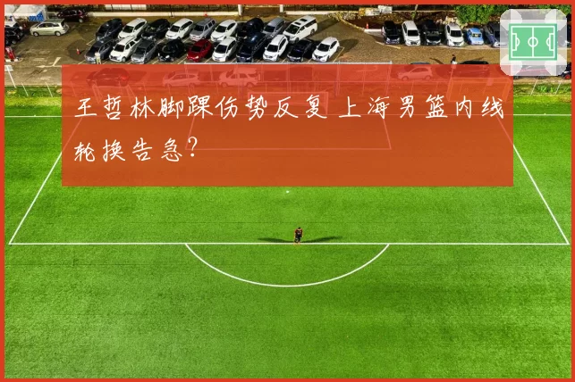 王哲林脚踝伤势反复 上海男篮内线轮换告急？
