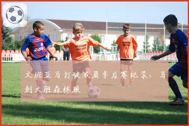 文班亚马打破浓眉季后赛纪录，马刺大胜森林狼