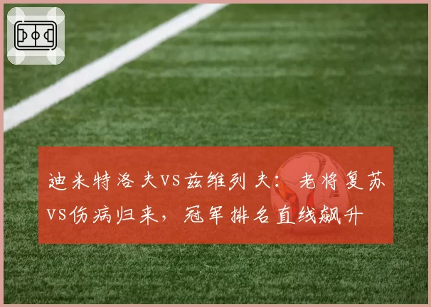 迪米特洛夫vs兹维列夫：老将复苏vs伤病归来，冠军排名直线飙升